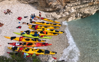 Отзив Зорница Стоилова