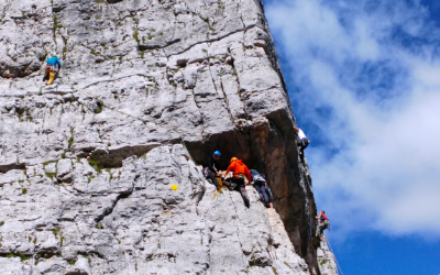 Катерене с адреналин
