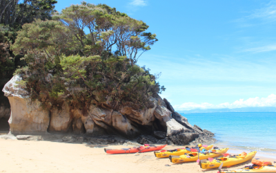 Защо да изберете Допамин Тийм?